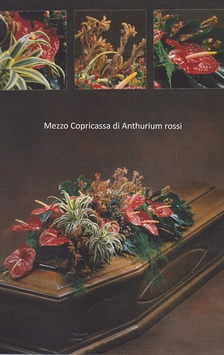 /media/2012/01/mezzo copribara 2 (Copia).jpg
